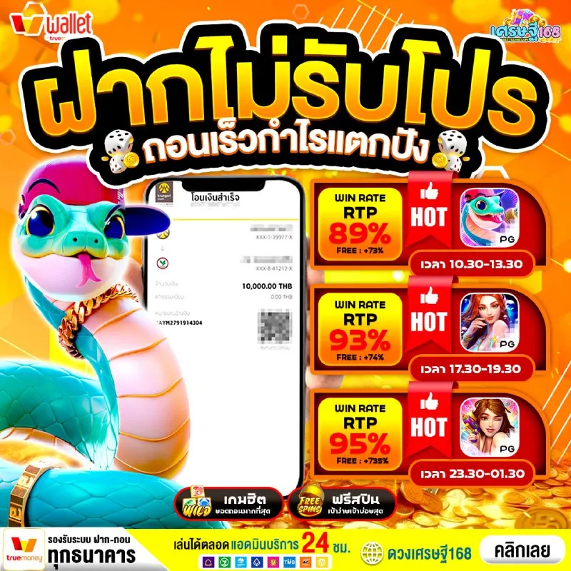 6203886900100581100_11zon